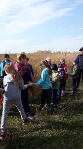 день здоровья