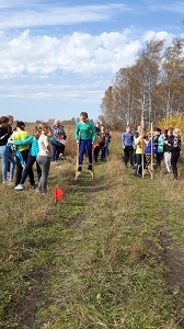 день здоровья