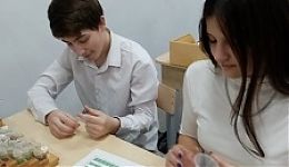 09.11.2022 урок химии в 9 классе